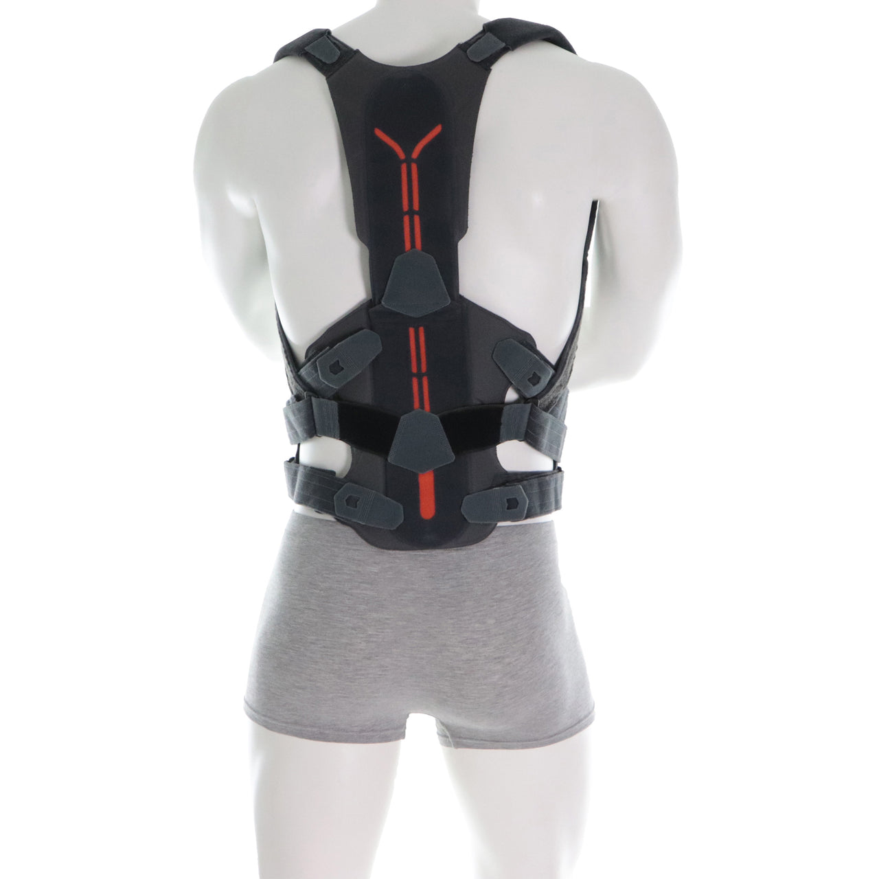 Ceinture Dos Complet Pour Posture Ou Fracture De Vertèbres Vue Des Sangles Et Du Support Derrière  Portée Par Un Homme